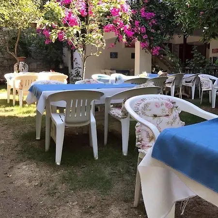 Ersoz 3*